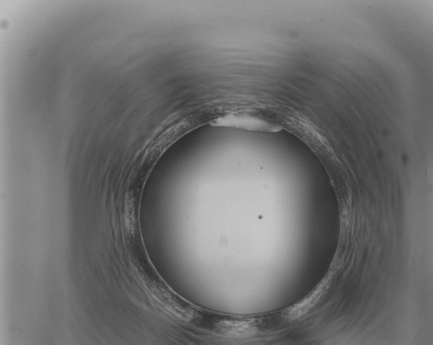 X0000061110170200512091826