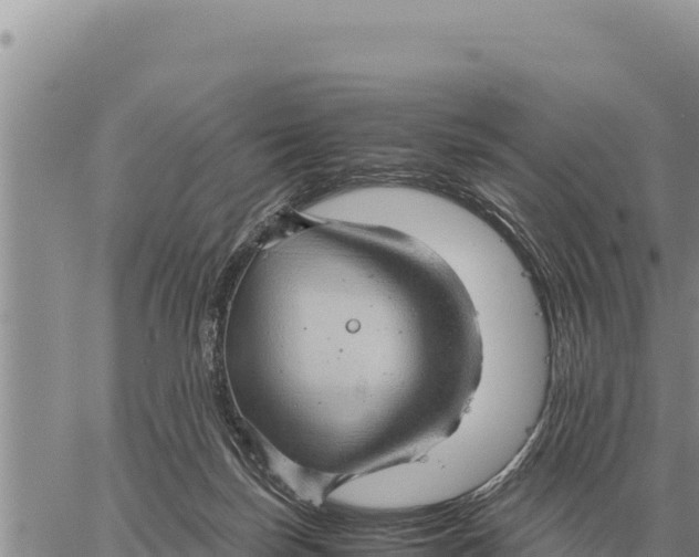 X0000061110171200512091826