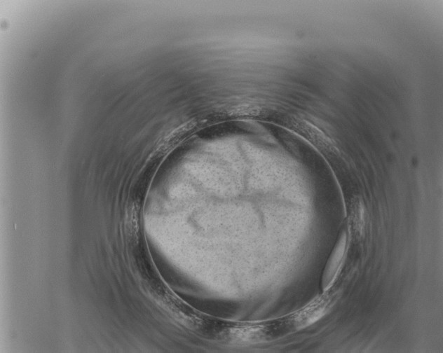 X0000061110172200512091826