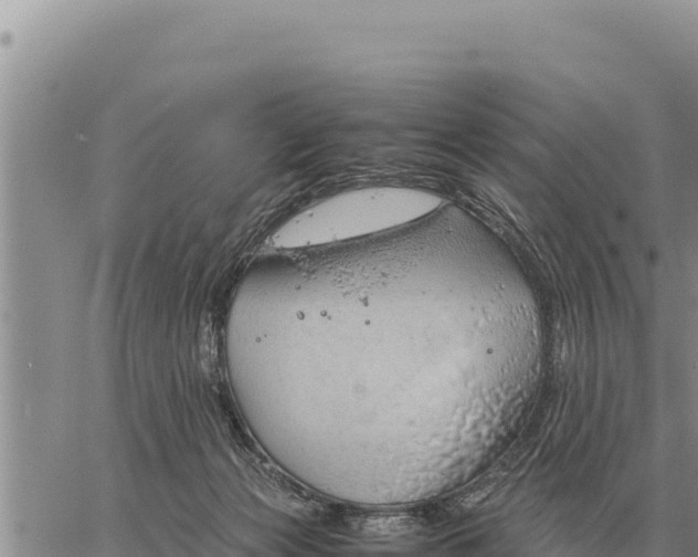 X0000061110173200512091826