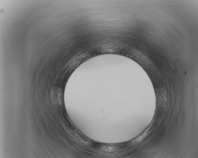 X0000061110174200512091826