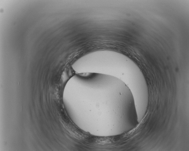 X0000061110175200512091826