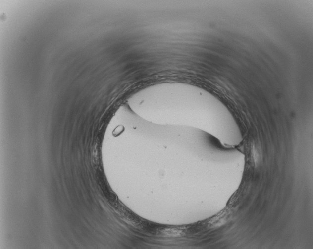 X0000061110176200512091826