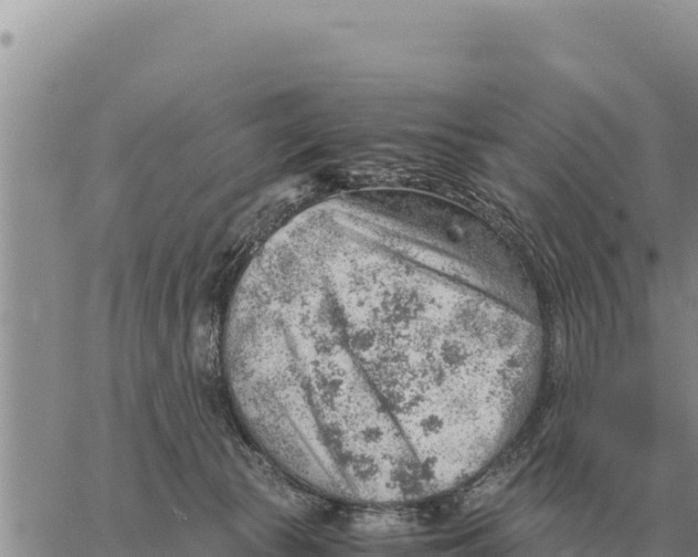 X0000061110177200512091826