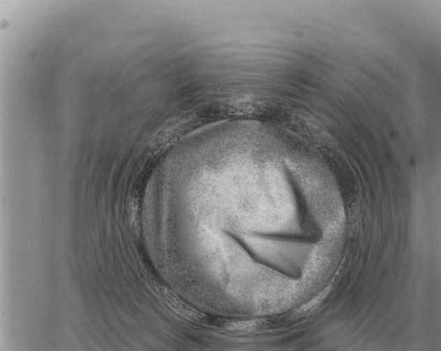 X0000061110178200512091826