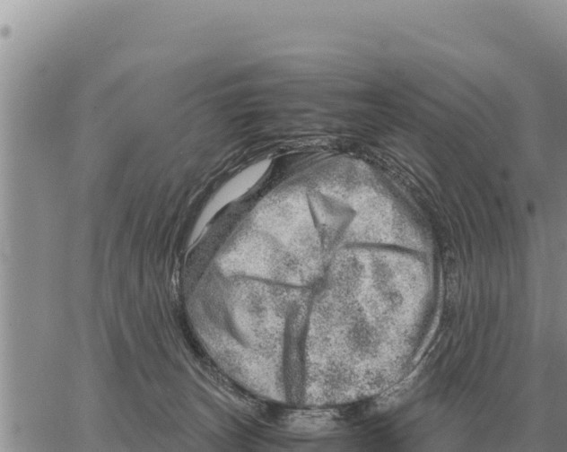 X0000061110179200512091826