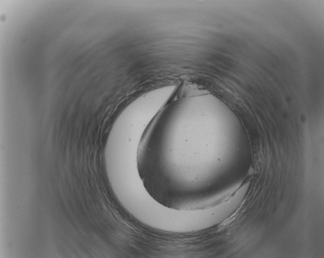 X0000061110180200512091826