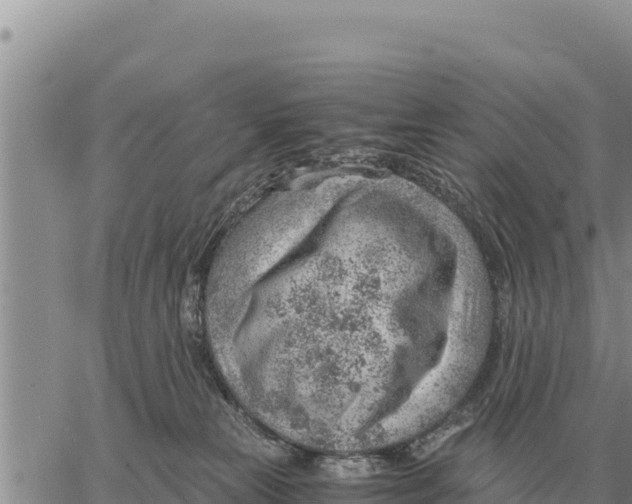 X0000061110181200512091826