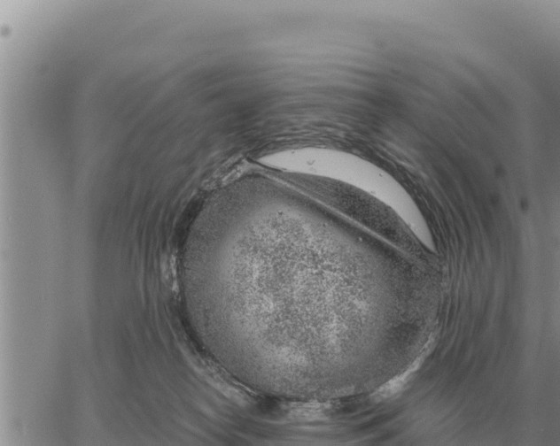 X0000061110182200512091826