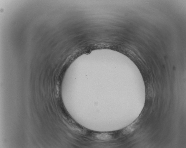 X0000061110183200512091826