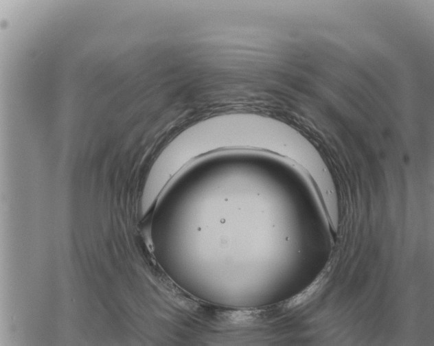 X0000061110184200512091826