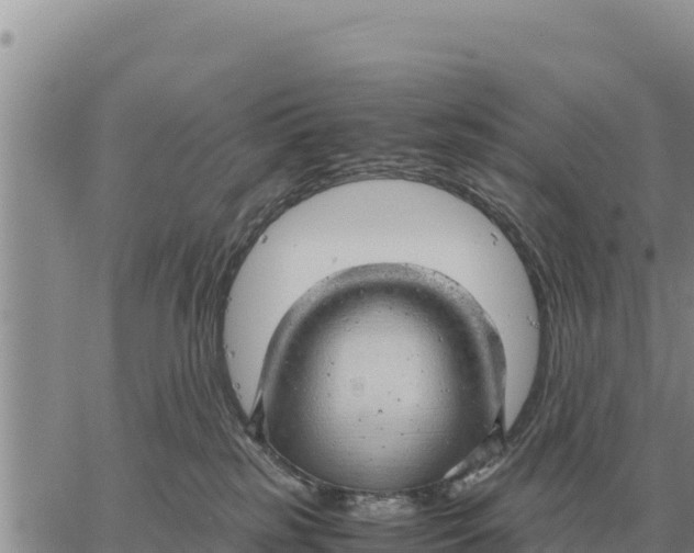 X0000061110185200512091826