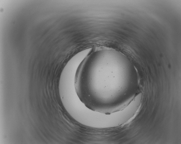 X0000061110186200512091826