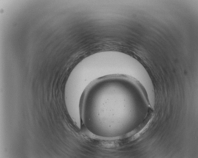 X0000061110187200512091826