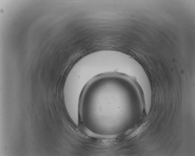 X0000061110188200512091826