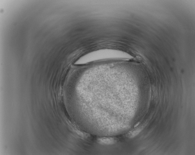 X0000061110189200512091826