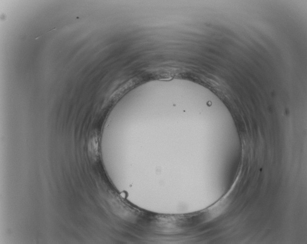 X0000061110190200512091826