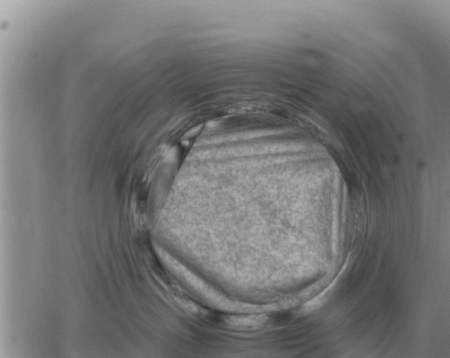 X0000061110191200512091826