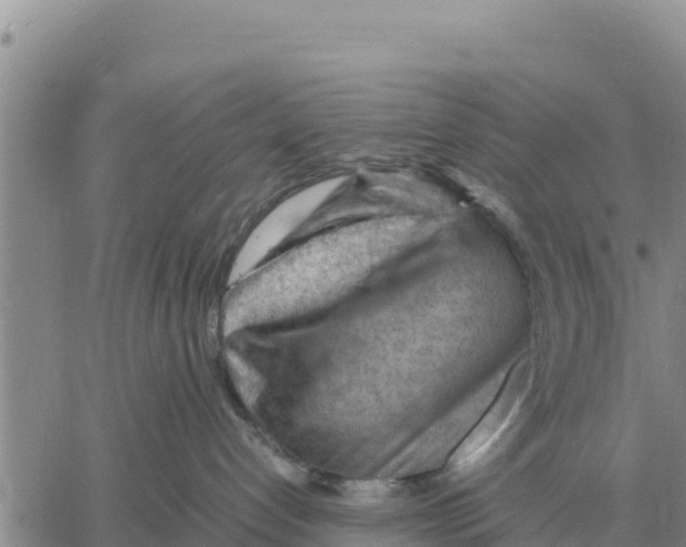 X0000061110192200512091826