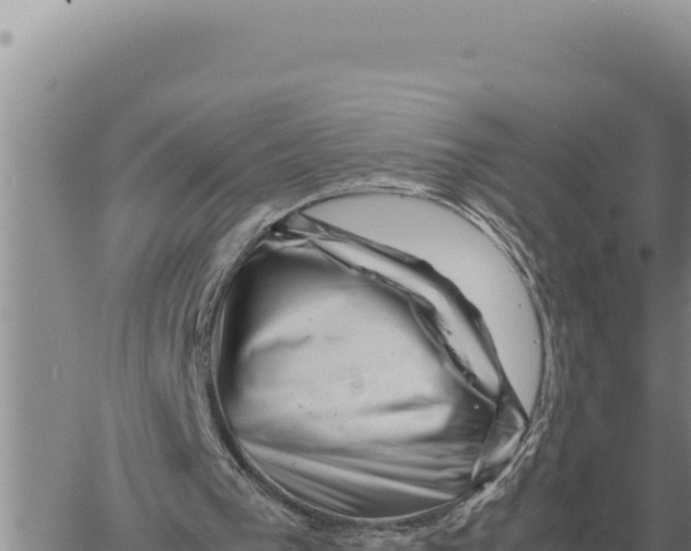 X0000061110193200512091826