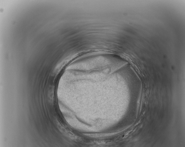 X0000061110194200512091826