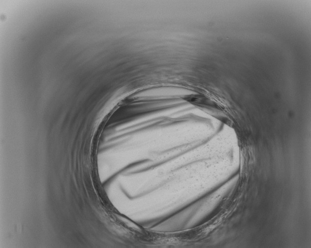 X0000061110195200512091826