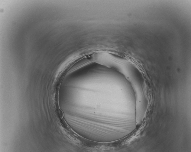 X0000061110197200512091826