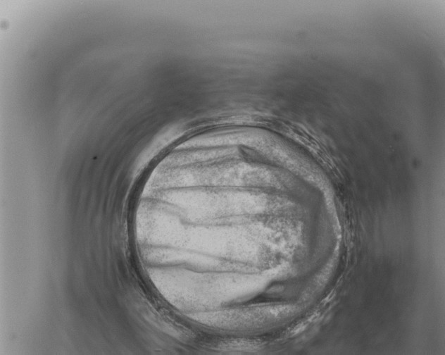 X0000061110198200512091826