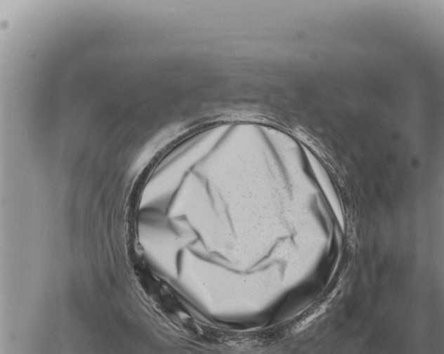 X0000061110199200512091826