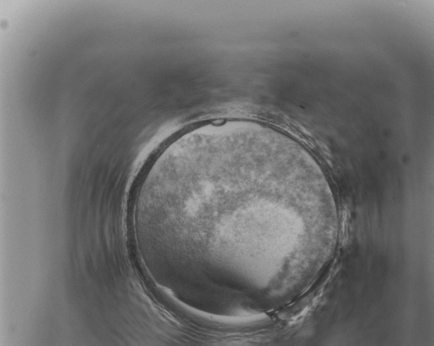 X0000061110200200512091826