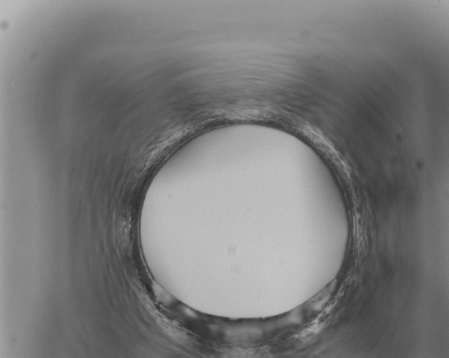 X0000061110201200512091826