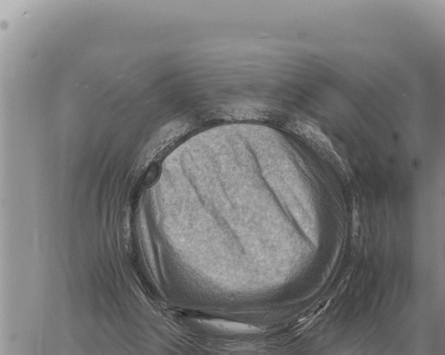 X0000061110202200512091826