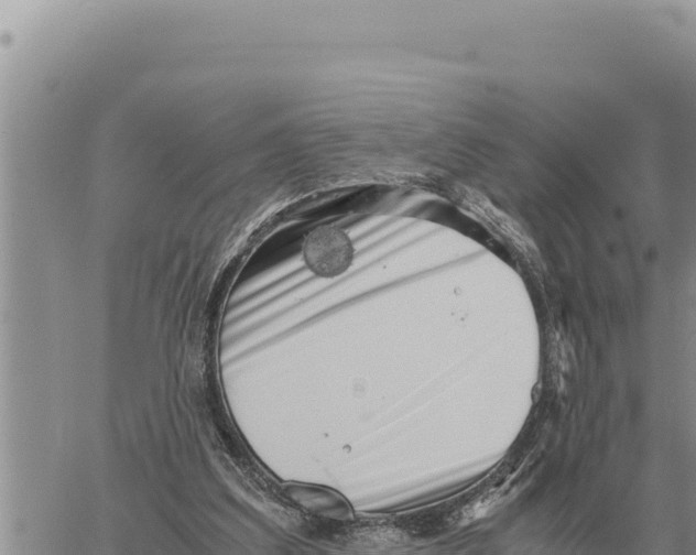 X0000061110203200512091826