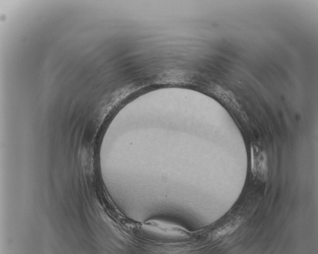 X0000061110204200512091826