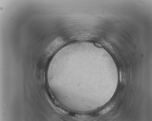 X0000061110205200512091826