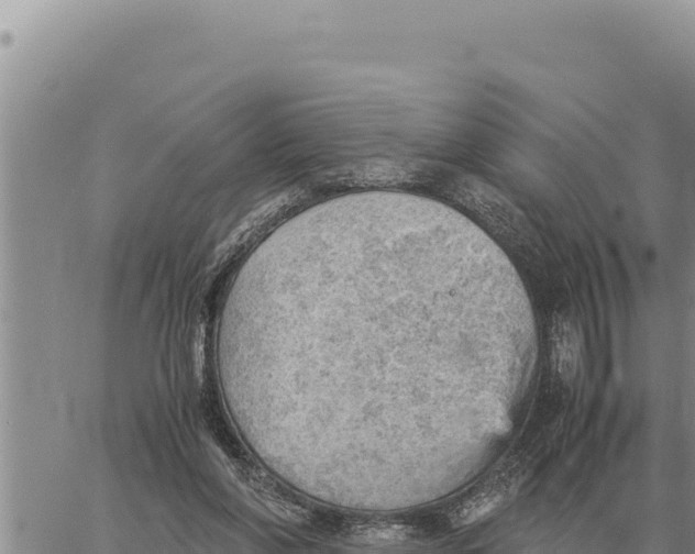 X0000061110206200512091825