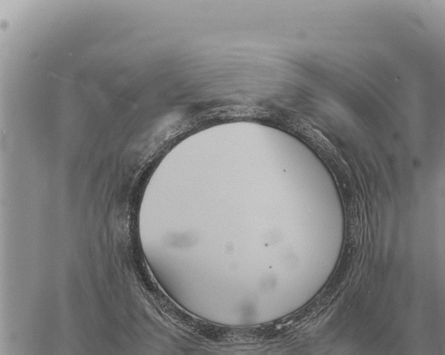 X0000061110207200512091825