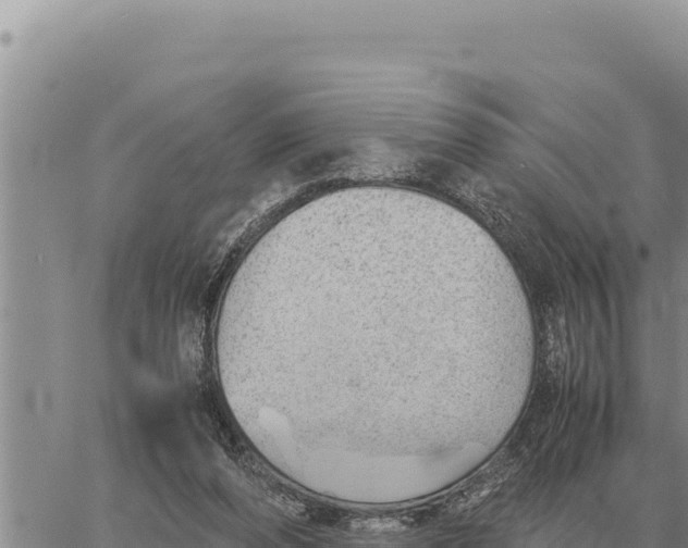 X0000061110208200512091825