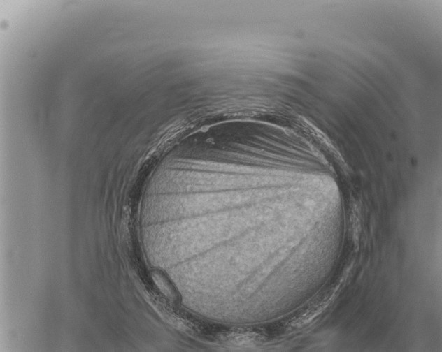 X0000061110209200512091825