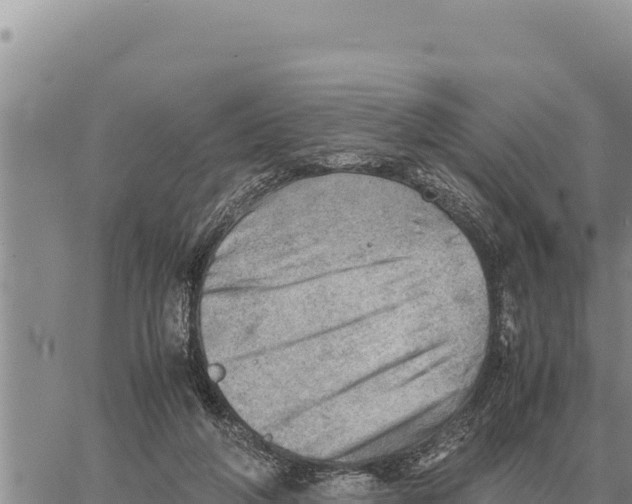 X0000061110210200512091825