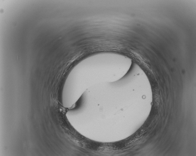 X0000061110211200512091825