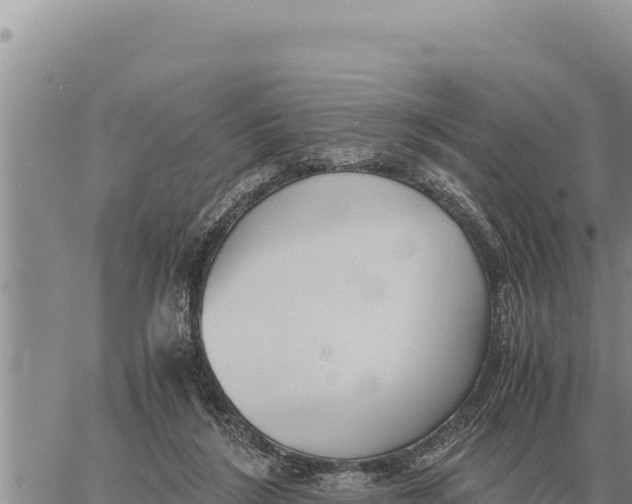 X0000061110212200512091825