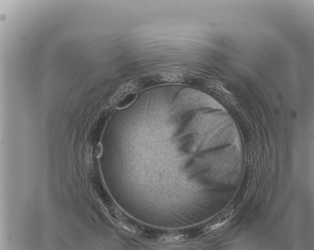 X0000061110213200512091825