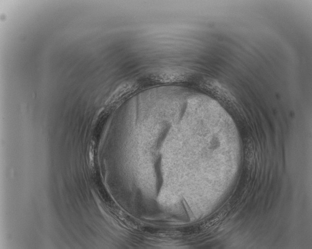 X0000061110214200512091825