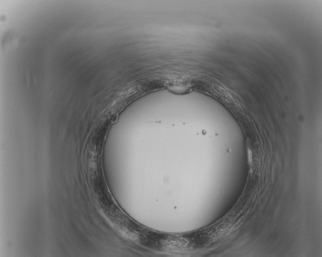 X0000061110215200512091825