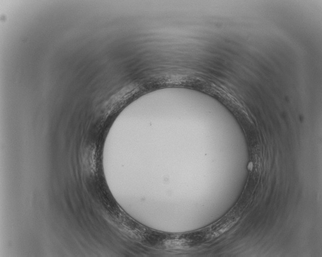 X0000061110216200512091825