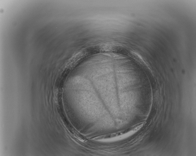 X0000061110217200512091825