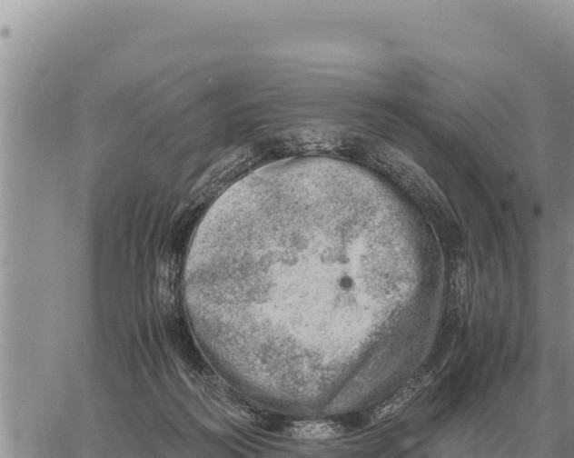 X0000061110218200512091825