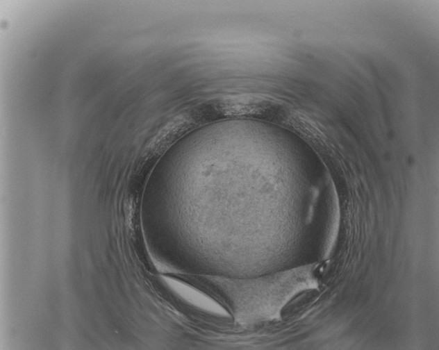 X0000061110219200512091825