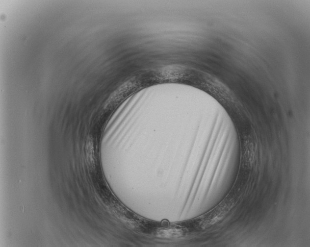 X0000061110220200512091825